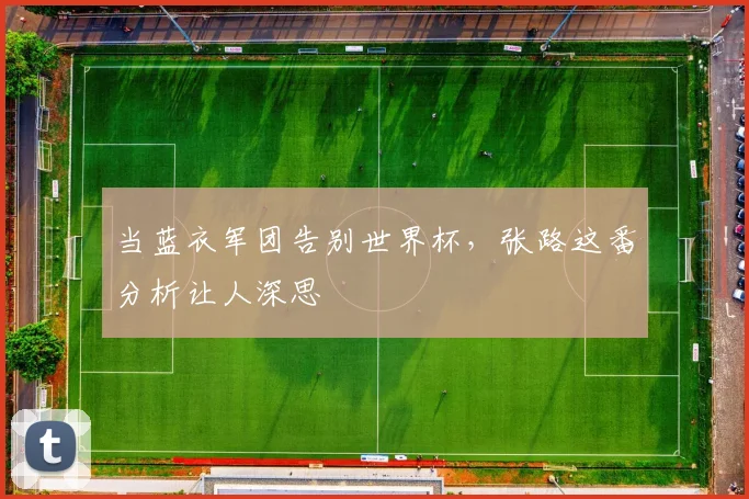 当蓝衣军团告别世界杯，张路这番分析让人深思